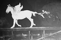 Багдадский вор (1924)